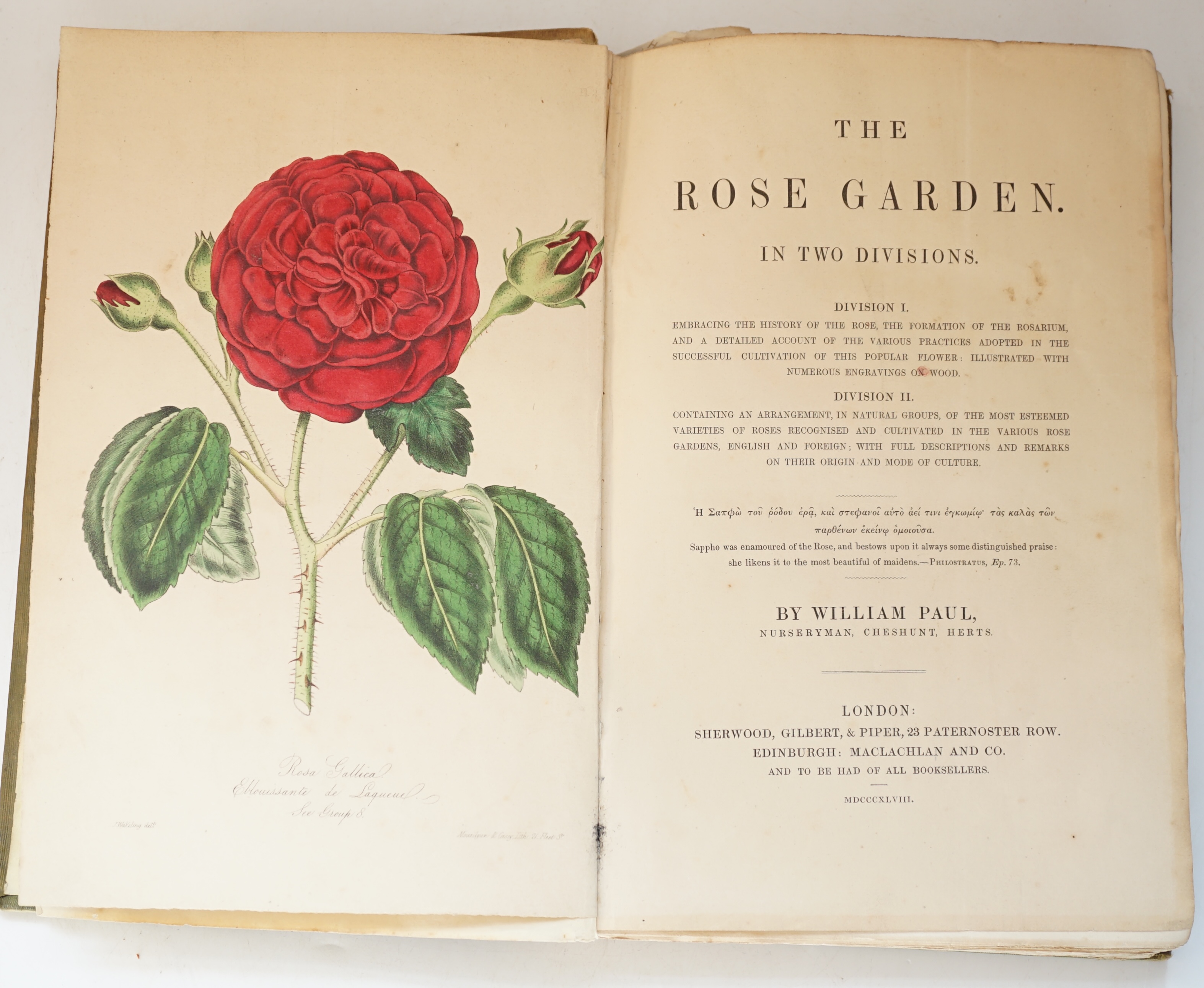 Paul, William - The Rose Garden. In Two Divisions, 1st edition, 15 hand-coloured lithographed plates, tissue-guarded, 8vo, publisher's embossed cloth gilt, spine browned and chipped, Sherwood, Gilbert and Piper, London,